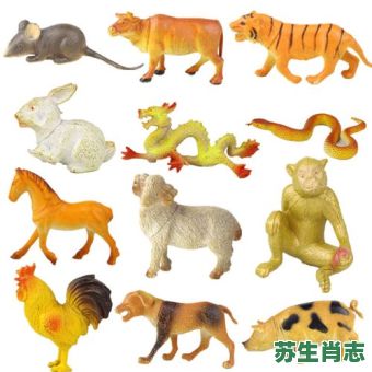 套是什么生肖？套代表什么动物