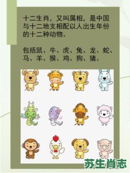 何肖是什么生肖？何代表什么动物