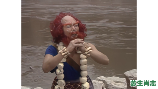 西游生肖是什么？西游沙僧是什么动物