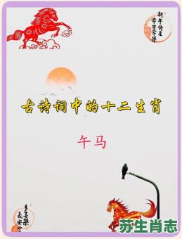 西的生肖是什么？西打一精准生肖