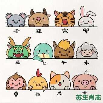 画的生肖是什么？画肖最准确生肖