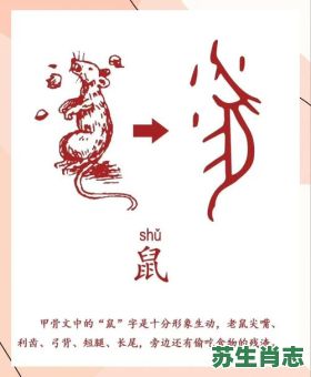 古是什么生肖?古字代表什么生肖 古是什么生肖?古字代表什么生肖