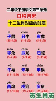 晨肖是什么生肖?辰十二生肖里指什么 晨肖是什么生肖?辰十二生肖里指什么