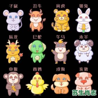 门口的肖是什么生肖？12生肖哪个有家门口的动物