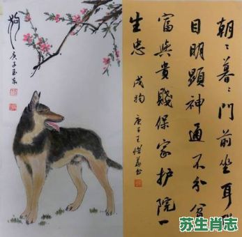 棍是什么生肖？得代表什么生肖动物