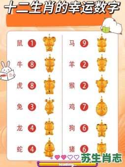 须是什么生肖？须代表什么数字