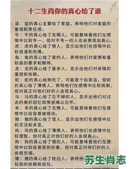 狠是什么生肖？诛打一准确生肖