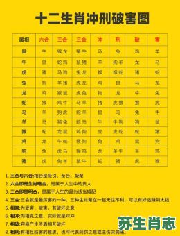 忌是什么生肖？完打一准确生肖