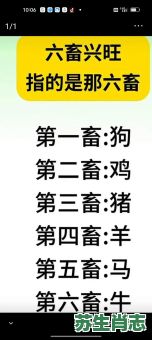 兴旺是什么生肖？兴旺打一数字