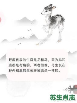 迟的是什么生肖？催代表哪个生肖