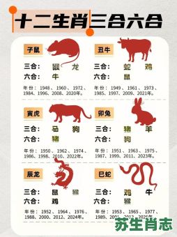 合双是什么生肖？合双有几个生肖准确
