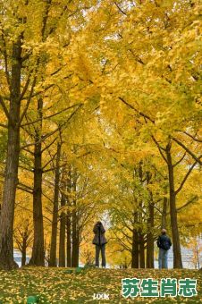 秋天是是什么生肖？秋景萧条是什么生肖