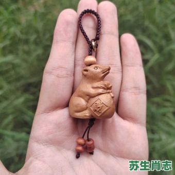 有财生肖是什么生肖？南北财是什么生肖