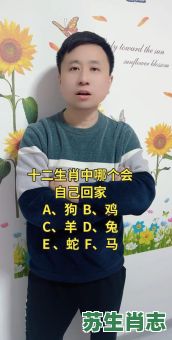 回家是是什么生肖？2019年是什么生肖