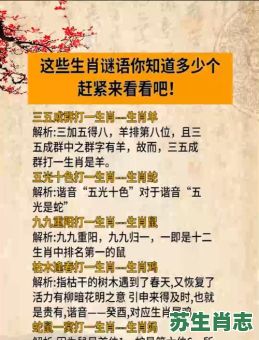 无声生肖是什么？无声无息的生肖谜语