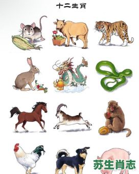 贪吃是什么生肖？十二生肖最贪婪的动物