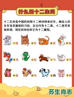 最短的生肖是什么生肖？十二生肖最慢的动物是哪肖