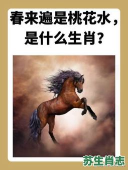 马前是什么生肖？马前生肖正确答案