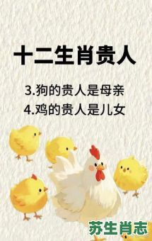 媳是什么生肖？取暧是什么生肖