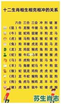 冲鼠的生肖是什么生肖？虎和什么生肖相冲最凶
