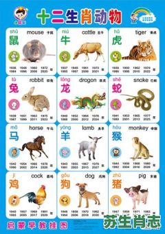 小孩的生肖是什么？三岁小孩打一个生肖