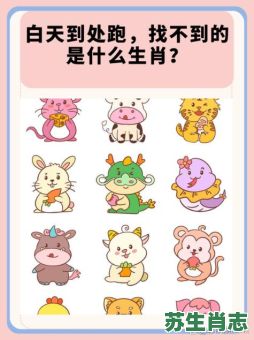 红头的生肖是什么？出红看尾不是头是什么生肖