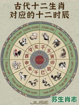 一时是什么生肖？一时是什么时辰
