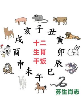盼生肖是什么？左顾右盼是什么生肖动物