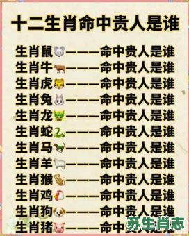 天才的生肖是什么？才貌双全是什么生肖?