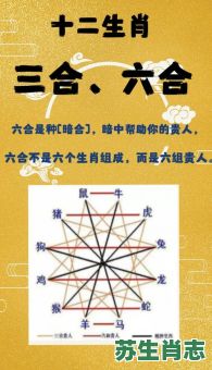 三尺是什么生肖？挖三尺三是暗示什么