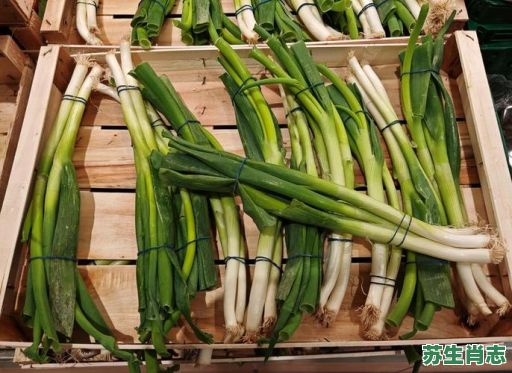 葱是什么生肖？葱打一最佳生肖