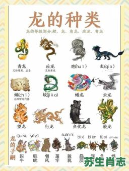 只是什么生肖？一代表什么动物