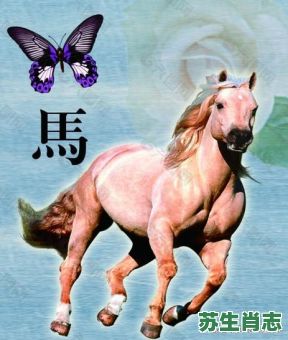 无限是什么生肖？无限风光解一肖