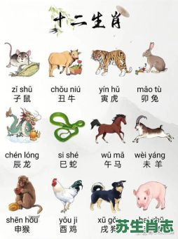 首尾生肖是什么？一九头尾吻是什么生肖