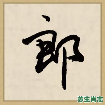 朗是什么生肖？郎字猜一生肖
