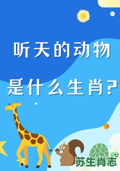 声音是什么生肖？声音打一动物