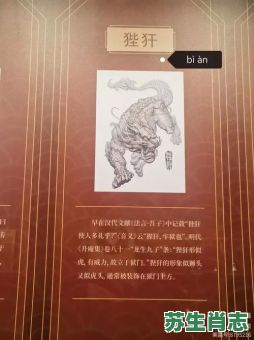 街头是什么生肖？衙门,打一正确生肖