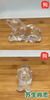 白色 是什么生肖？十二生肖白色动物生肖