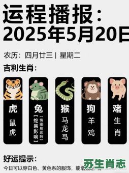 抬是什么生肖？抬字打一准确生肖