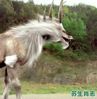 四不像生肖是什么？12生肖中什么动物四不像