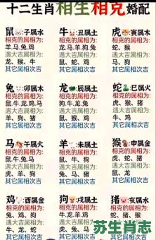 龙的冲生肖是什么？龙的三害六冲是指什么