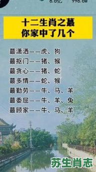 内是什么生肖？内门代表什么生肖
