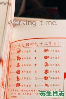 日九是什么生肖?日肖夜肖分别是什么生肖 日九是什么生肖?日肖夜肖分别是什么生肖