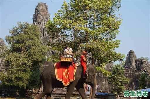 空中是什么生肖？空中楼阁正确答案动物