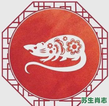 危险是什么生肖？险字最正确的生肖