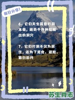 地洞是什么生肖？洞打一个生肖