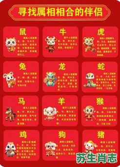 两地生肖是什么生肖？两个人是什么生肖准确