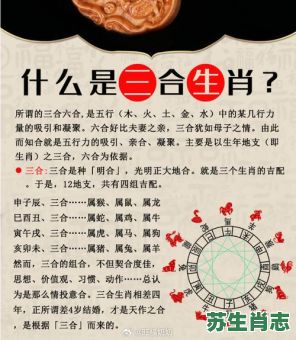 三草是什么生肖？三一打一正确生肖是什么