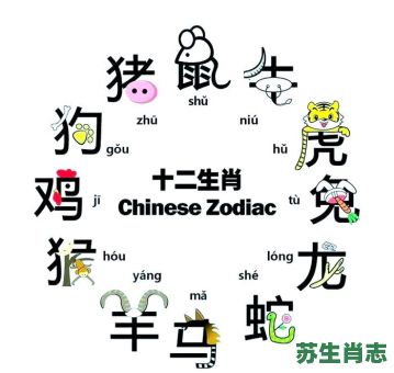 以字是什么生肖？以字打一准确生肖
