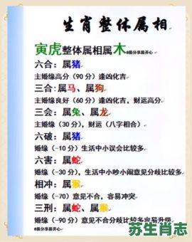 凶恶的是什么生肖？凶恶的生肖最佳答案